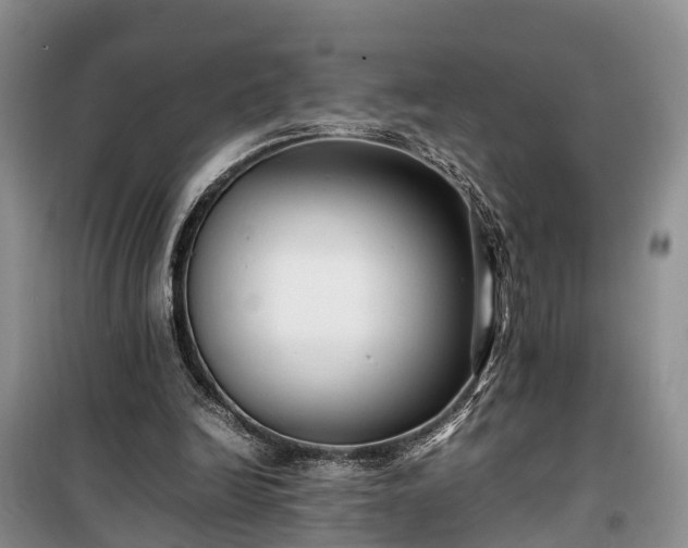 X0000100380246200806131106