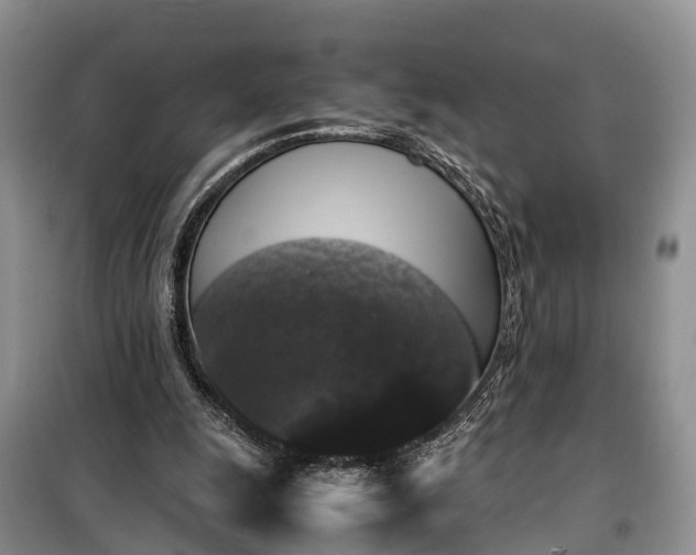 X0000100380247200806131106