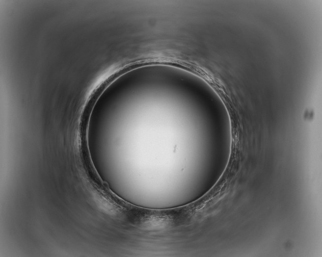 X0000100380248200806131106