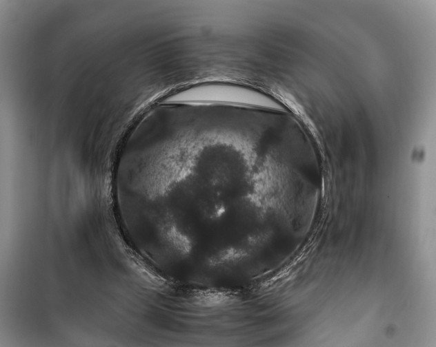 X0000100380249200806131106