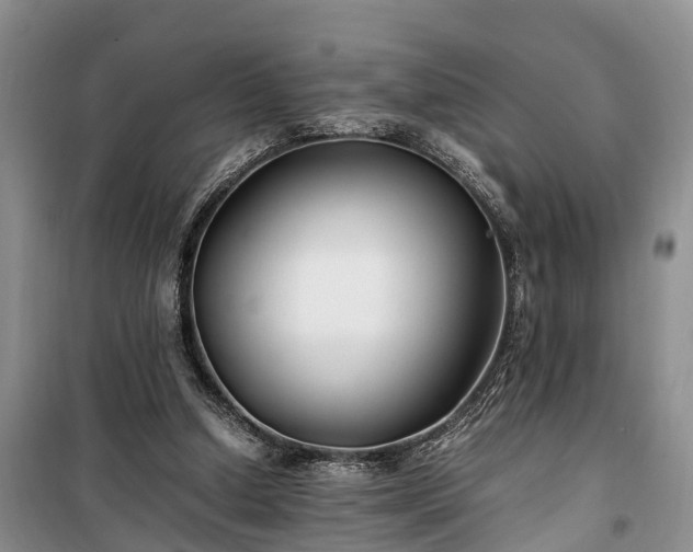 X0000100380250200806131106