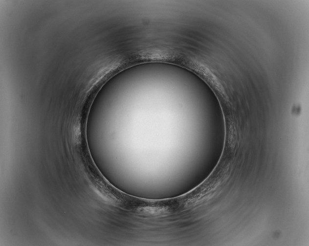 X0000100380251200806131106