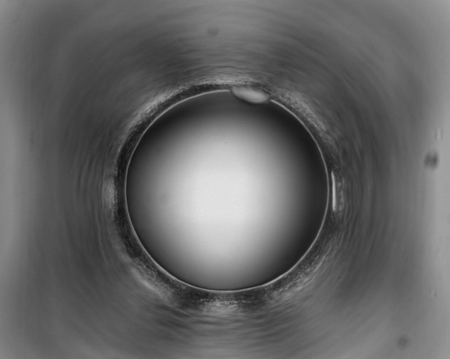 X0000100380252200806131106