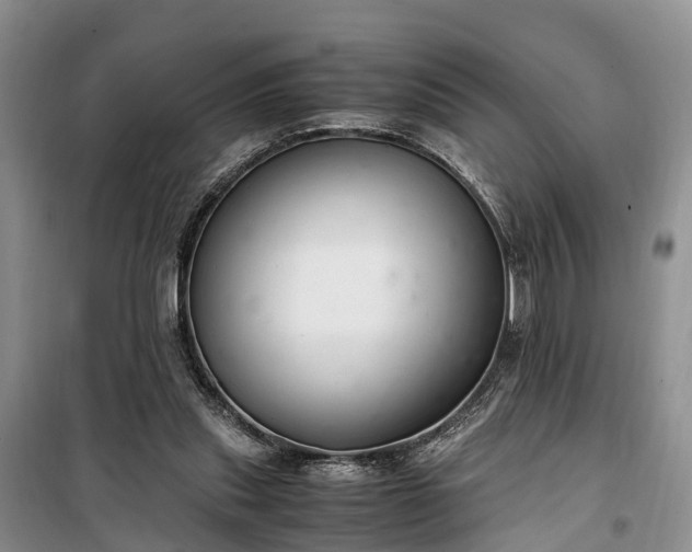 X0000100380253200806131106