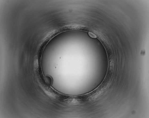 X0000100380254200806131106