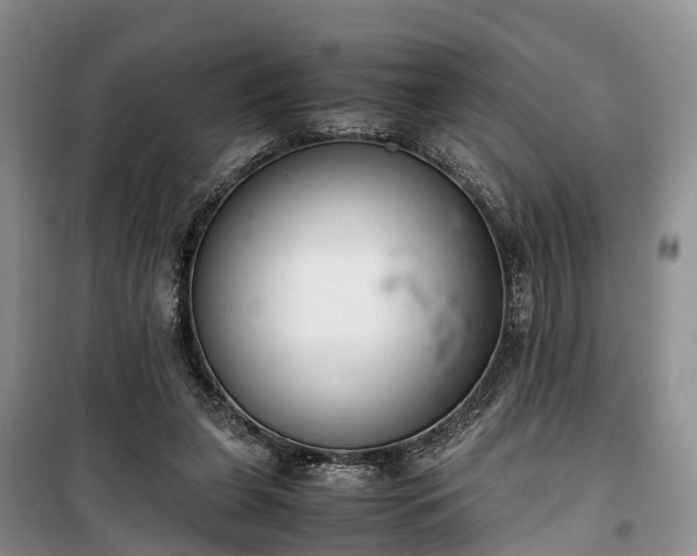 X0000100380255200806131106