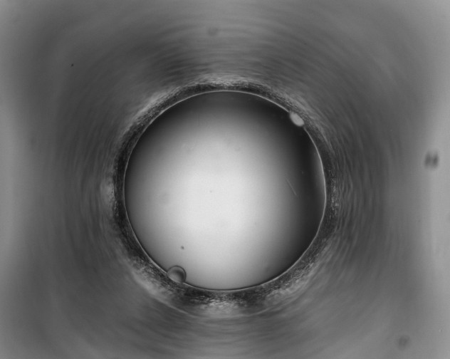 X0000100380256200806131106