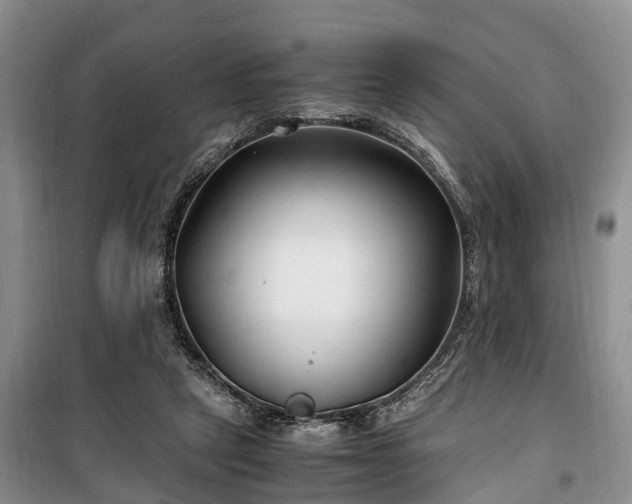 X0000100380257200806131106