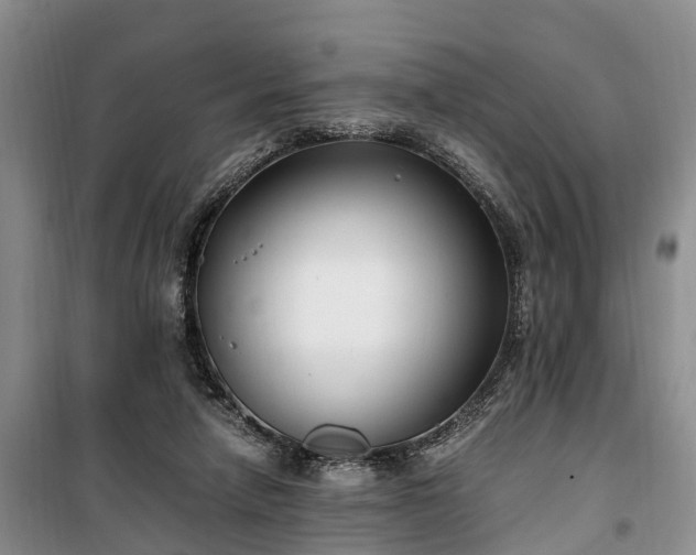 X0000100380258200806131106