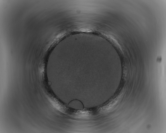 X0000100380260200806131106