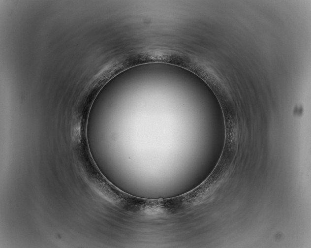 X0000100380262200806131106