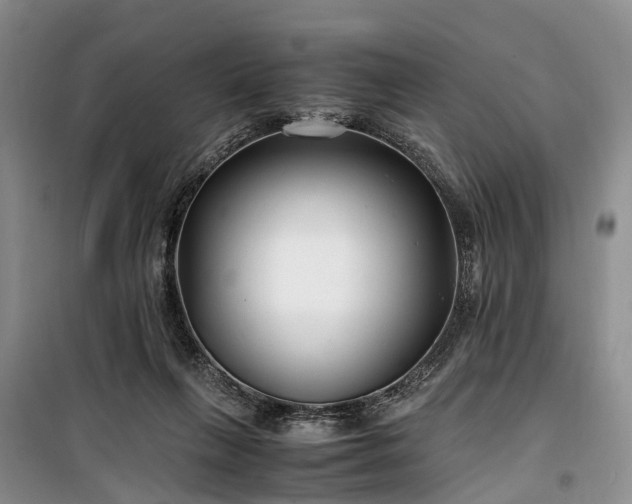 X0000100380263200806131106