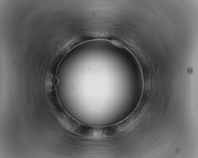 X0000100380264200806131106