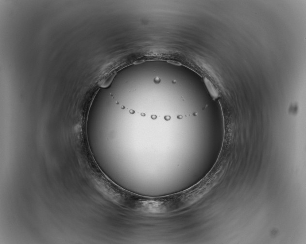 X0000100380265200806131106