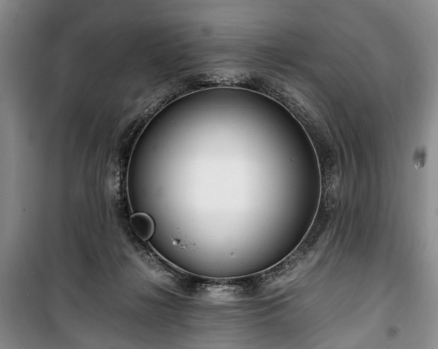 X0000100380268200806131106