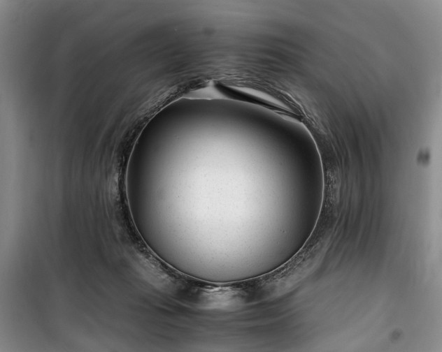 X0000100380269200806131106