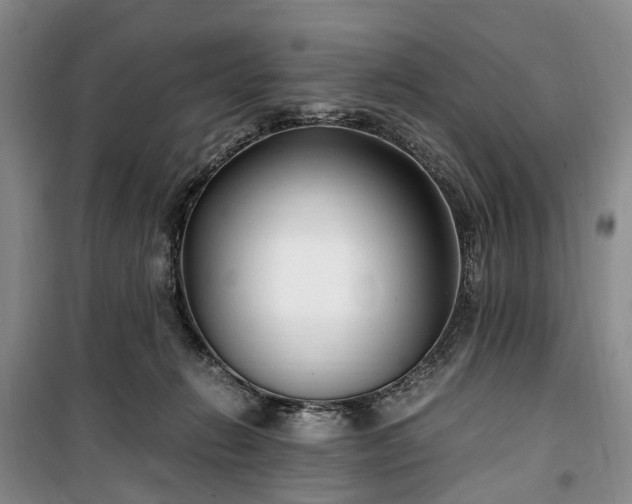 X0000100380270200806131106