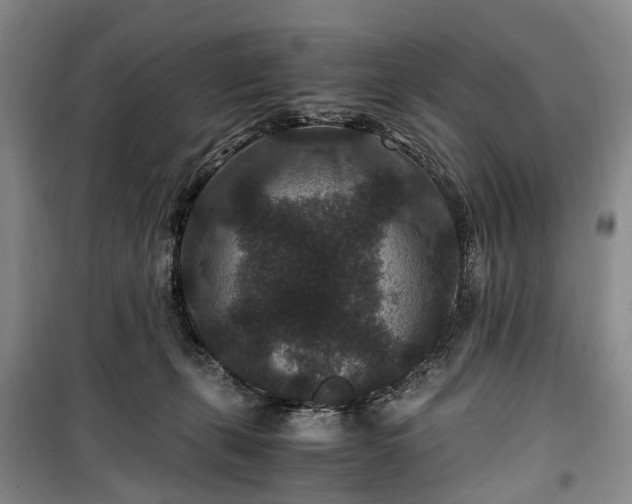X0000100380271200806131106