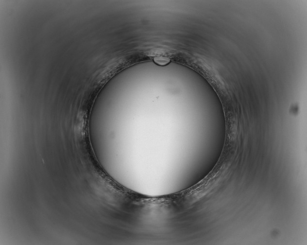 X0000100380273200806131106