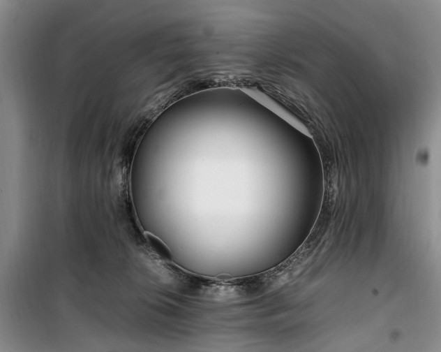 X0000100380276200806131106