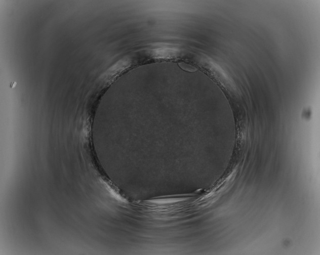 X0000100380277200806131106