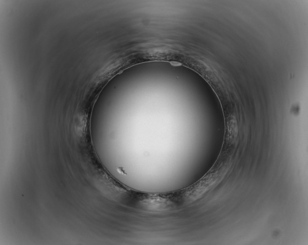 X0000100380278200806131106