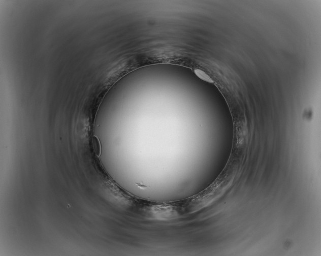 X0000100380279200806131106