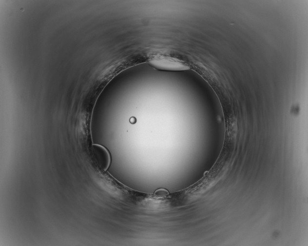 X0000100380280200806131106