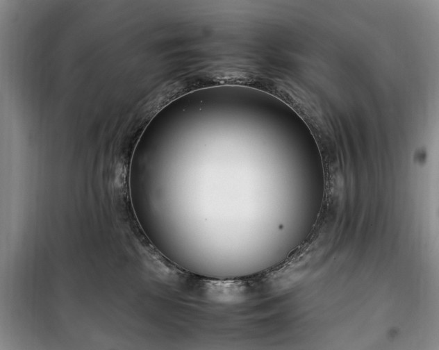X0000100380281200806131106