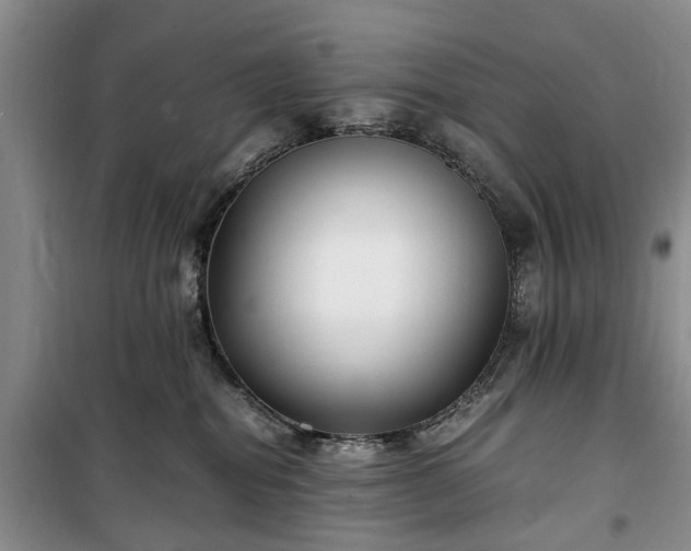 X0000100380282200806131106