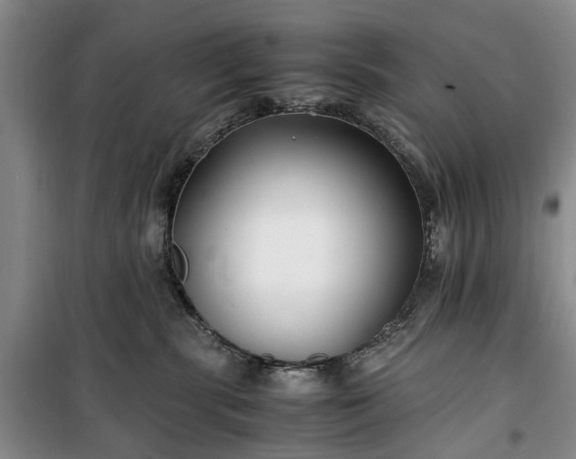 X0000100380283200806131106