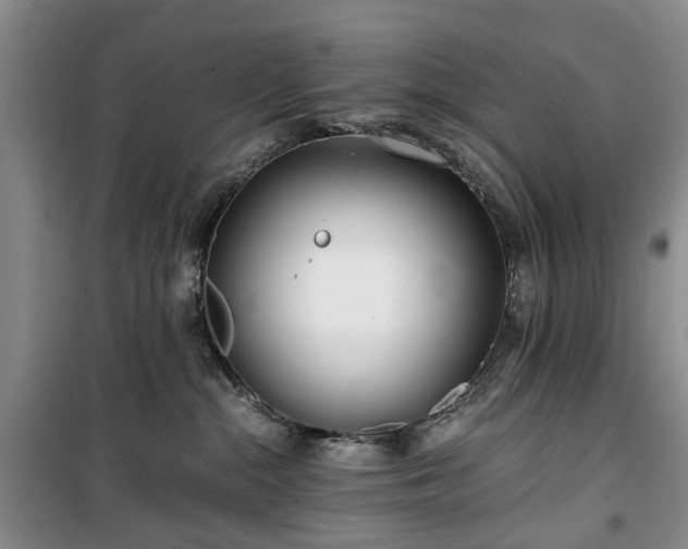 X0000100380284200806131106