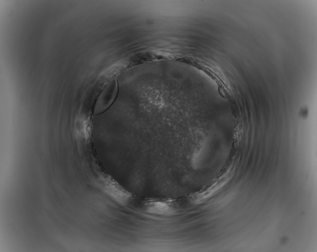 X0000100380285200806131106