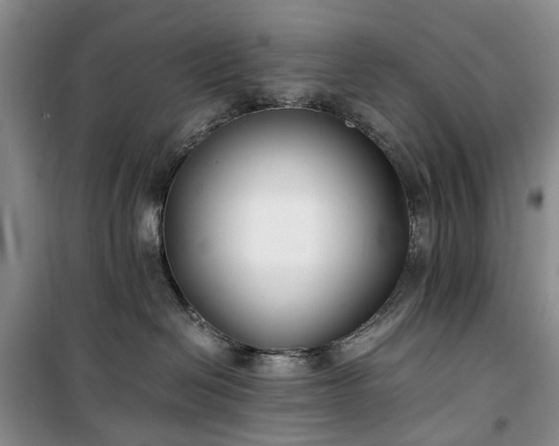 X0000100380286200806131106