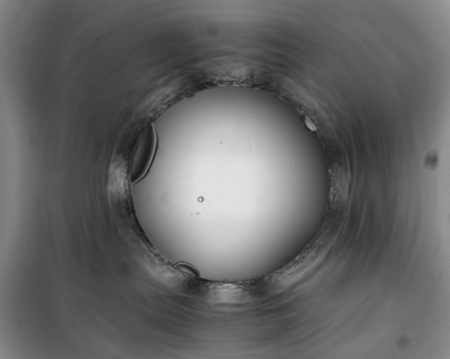 X0000100380287200806131106