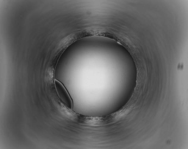 X0000100380288200806131106