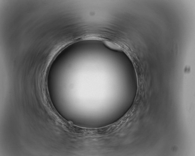 X0000100380289200806131106