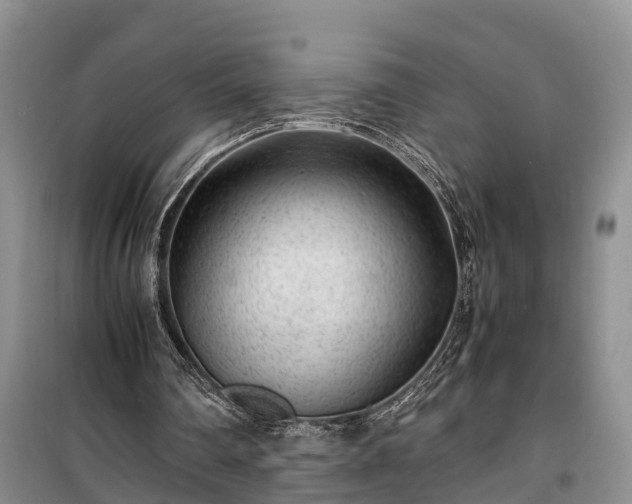 X0000100380290200806131106