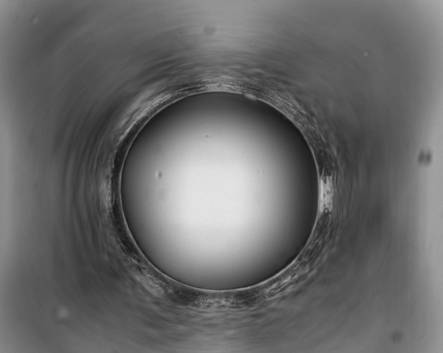 X0000100380291200806131106