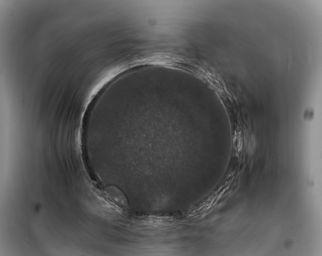 X0000100380292200806131106