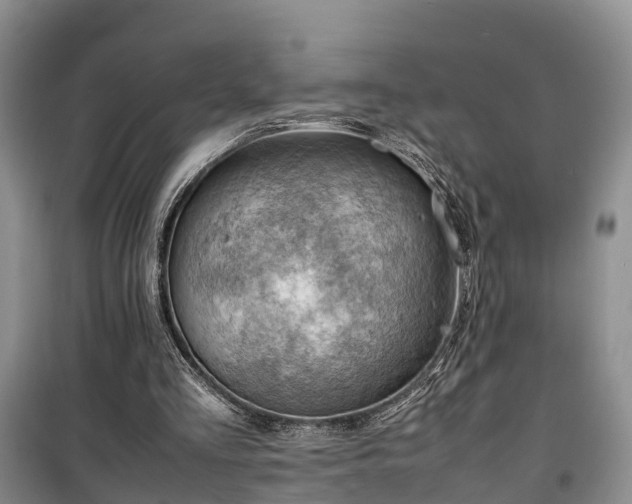 X0000100380293200806131106