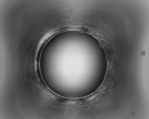 X0000100380294200806131106