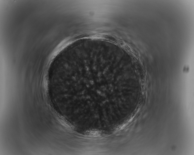 X0000100380295200806131106