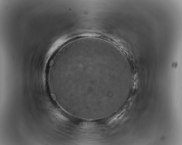 X0000100380296200806131106