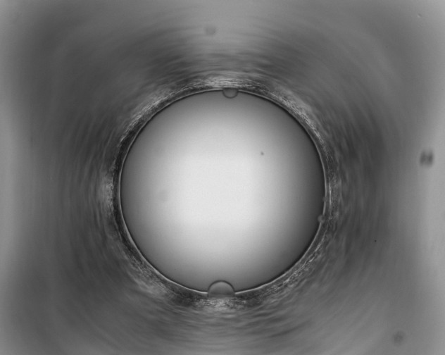 X0000100380297200806131106