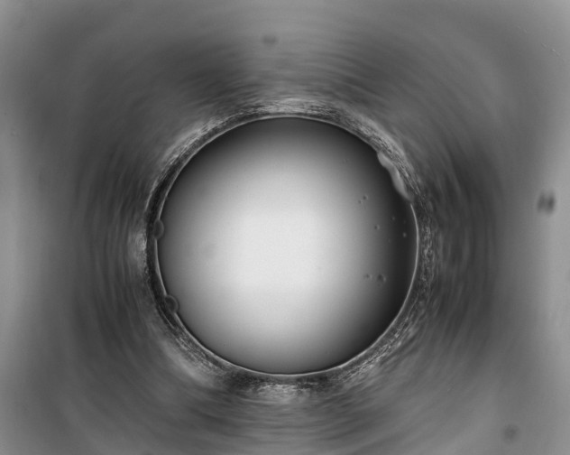 X0000100380298200806131106