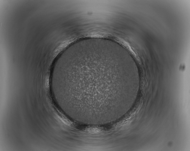 X0000100380299200806131106