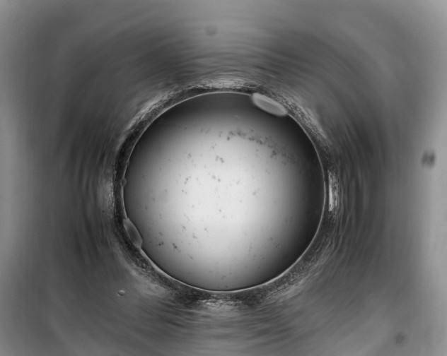 X0000100380300200806131106