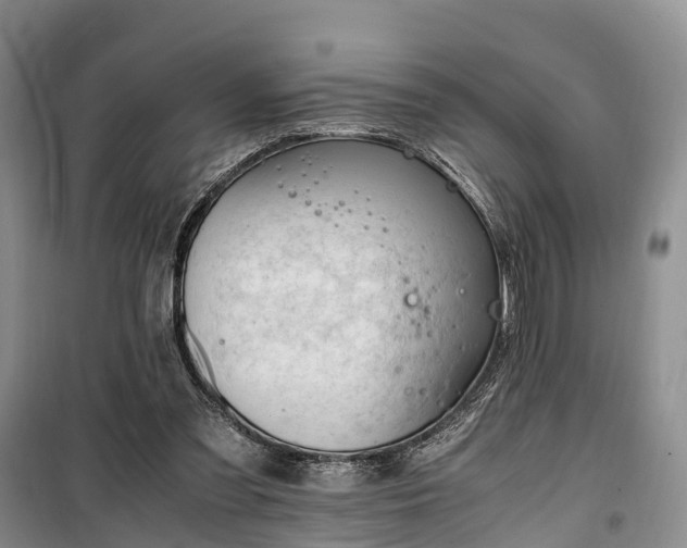 X0000100380301200806131106
