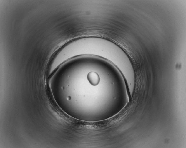 X0000100380302200806131105